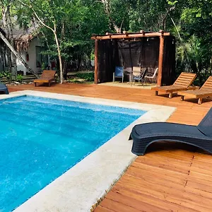 https://ecovergel-riviera-maya-spa.quintano-roohotels.com